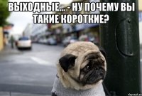 Выходные... - ну почему вы такие короткие? 