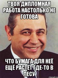 твоя дипломная работа настолько не готова что бумага для неё ещё растёт где-то в лесу