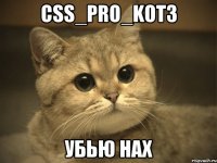 CsS_PrO_kot3 УБЬЮ НАХ