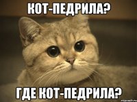 Кот-педрила? Где кот-педрила?