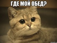 Где мой обед? 