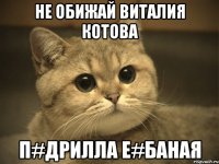 Не обижай Виталия Котова П#дрилла Е#баная