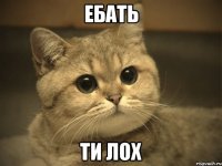 ебать ти лох