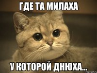 Где та милаха у которой днюха...