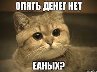 Опять денег нет еаных?