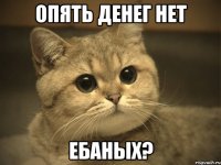 Опять денег нет ебаных?