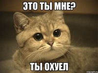 это ты мне? ты охуел