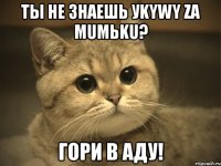 Ты не знаешь уkywy za mumьku? ГОРИ В АДУ!