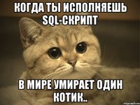 Когда ты исполняешь SQL-скрипт В мире умирает один котик..