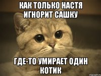 как только Настя игнорит Сашку где-то умирает один котик