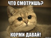 Что смотришь? Корми давай!