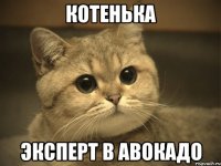 котенька эксперт в авокадо