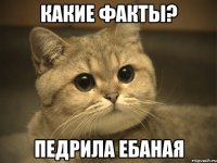 какие факты? педрила ебаная