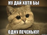 Ну дай хотя бы Одну печеньку!