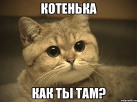 КОТЕНЬКА Как ты там?