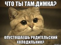 Что ты там,Димка? опустошаешь родительский холодильник?