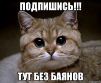 Подпишись!!! Тут без баянов