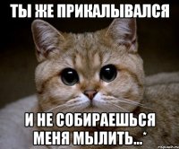 Ты же прикалывался и не собираешься меня мылить...*