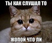 ты как слушал то ЖОПОЙ ЧТО ЛИ