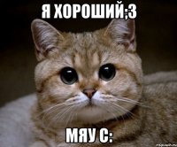 я хороший;3 мяу C: