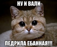 ну и вали педрила ебанная!!!