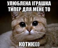 Улюблена іграшка типер для мене то КОТИК)))