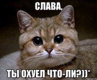 Слава, Ты охуел что-ли?))*