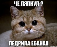 чё ляпнул ? педрила ебаная