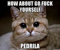 How about go fuck yourself PEDRILA