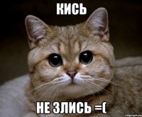 КИСЬ НЕ ЗЛИСЬ =(