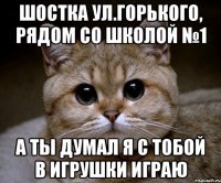 Шостка ул.Горького, рядом со школой №1 А ты думал я с тобой в игрушки играю