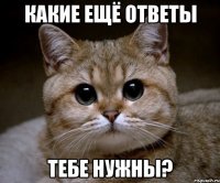 какие ещё ответы тебе нужны?