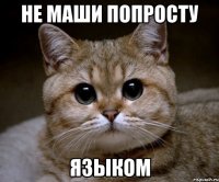 Не маши попросту языком