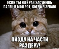 Если ты ещё раз засунешь палец в мой рот, когда я зеваю пизду на части раздеру!