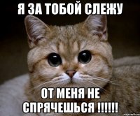 Я за тобой слежу От меня не спрячешься !!!!!!