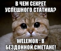 В чем секрет успешного статика? Welemor : В бездонной сметане!