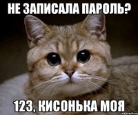 не записала пароль? 123, кисонька моя