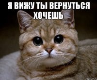 я вижу ты вернуться хочешь 