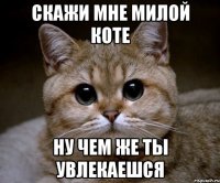 скажи мне милой коте НУ ЧЕМ ЖЕ ТЫ УВЛЕКАЕШСЯ