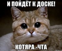 И Пойдёт к доске! Котяра -Чта