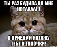 Ты разбудила во мне КОТАААА!!! Я приеду и нагажу тебе в тапочки!