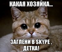 Какая хозяйка... Заглени в Skype , детка!