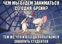 Чем мы будем заниматься сегодня, Брейн? Тем же, что и всегда попытаемся завалить студентов