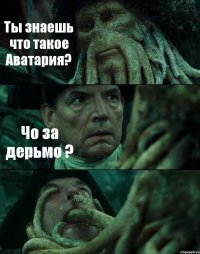 Ты знаешь что такое Аватария? Чо за дерьмо ? 