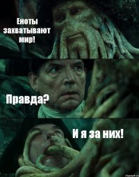 Еноты захватывают мир! Правда? И я за них!