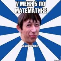 У меня 5 по математике 