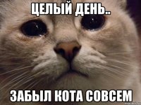 Целый день.. Забыл кота совсем