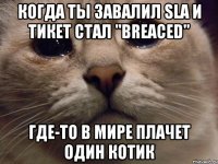 когда ты завалил SLA и тикет стал "Breaced" где-то в мире плачет один котик