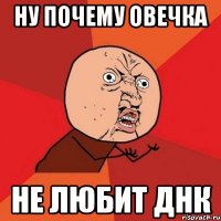 Ну почему Овечка Не любит ДНК