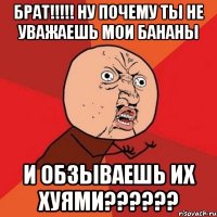 брат!!!!! Ну почему ты не уважаешь мои бананы и обзываешь их хуями??????